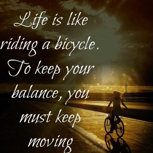 Meet your Posher, Amos - Picture 8 of 8